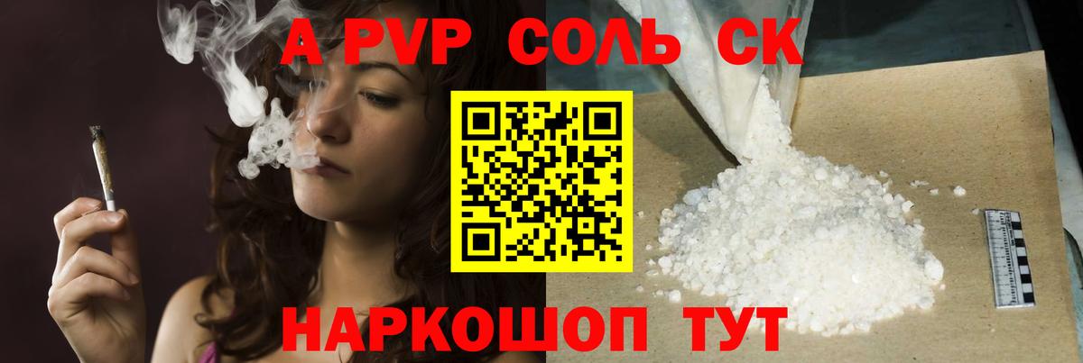 Alfa_PVP СК Великий Новгород