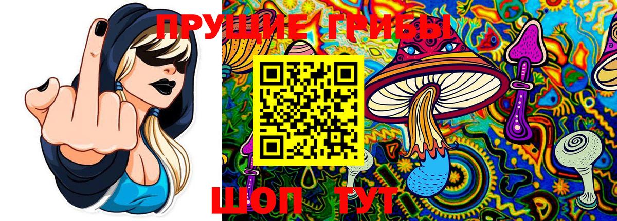 Великий Новгород  Галлюциногенные грибы GOLDEN TEACHER  Вход с VPN 