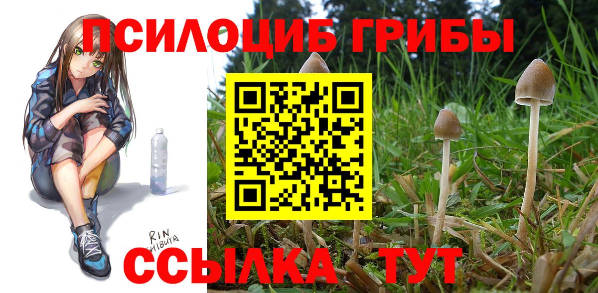Галлюциногенные грибы мицелий Великий Новгород
