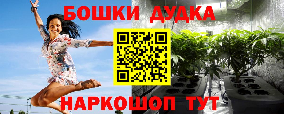 Бошки марихуана SATIVA & INDICA Великий Новгород